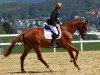 broodmare Nanunana (Trakehner, 2011, from Kasimir TSF)