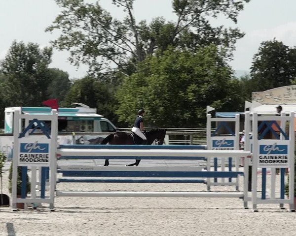 Concours Hippique de Dompierre 2021