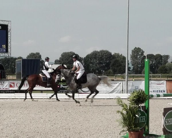 Concours Hippique de Dompierre 2021