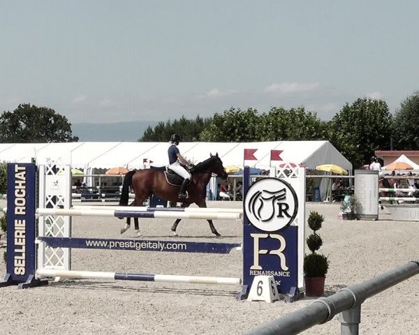 Concours Hippique de Dompierre 2021