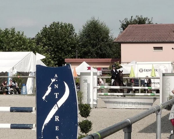 Concours Hippique de Dompierre 2021