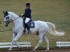 dressage horse Glücksritter (Hanoverian, 1999, from Graf Grannus)