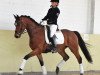 dressage horse Magic Marlow (Hanoverian, 2010, from Mighty Magic)