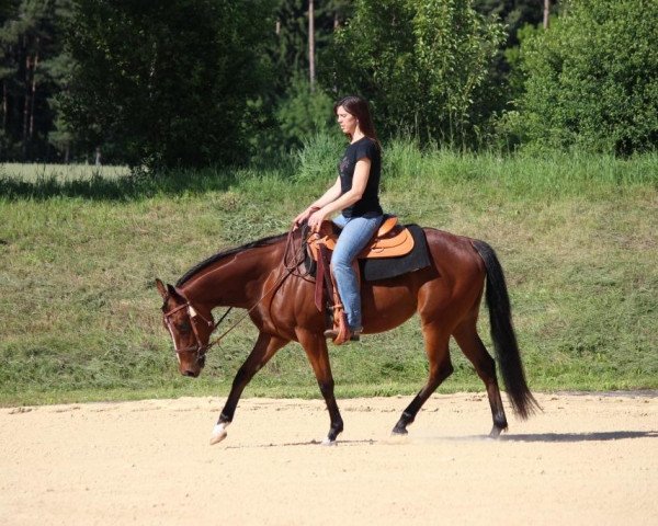 Zuchtstute Roses Magic Sundance (Appaloosa, 2011, von Magic Kiss)