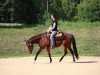 broodmare Roses Magic Sundance (Appaloosa, 2011, from Magic Kiss)