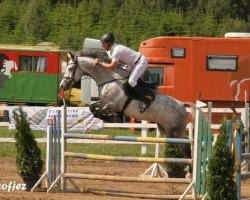 Pferd Aberant (KWPN (Niederländisches Warmblut), 2005, von Celano)