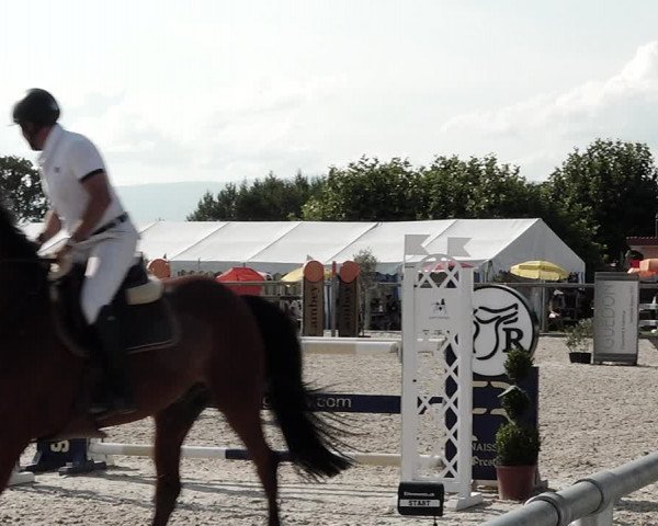 Concours Hippique de Dompierre 2021