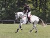 jumper Fiorella 111 (Trakehner, 2003, from Freudenfest)