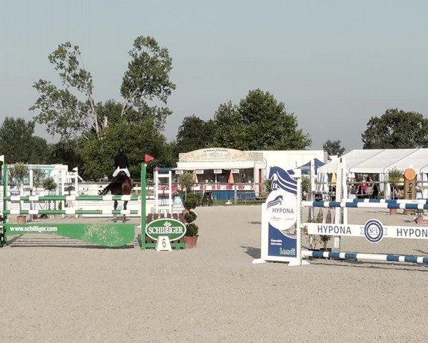 Concours Hippique de Dompierre 2021