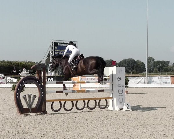 Concours Hippique de Dompierre 2021