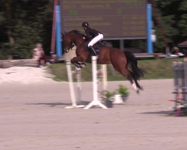 Springturnier Pietzpuhl 2021