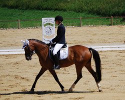 Pferd Fair Lady (Deutsches Reitpony, 1999, von Landlord)