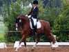 dressage horse Rochee (Hanoverian, 2006)