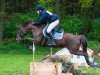 dressage horse Mitsch 4 (New Forest Pony, 2004, from Make My Day)