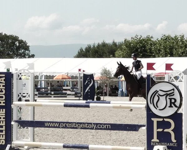 Concours Hippique de Dompierre 2021