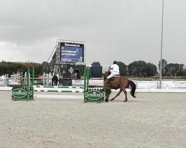 Concours Hippique de Dompierre 2021