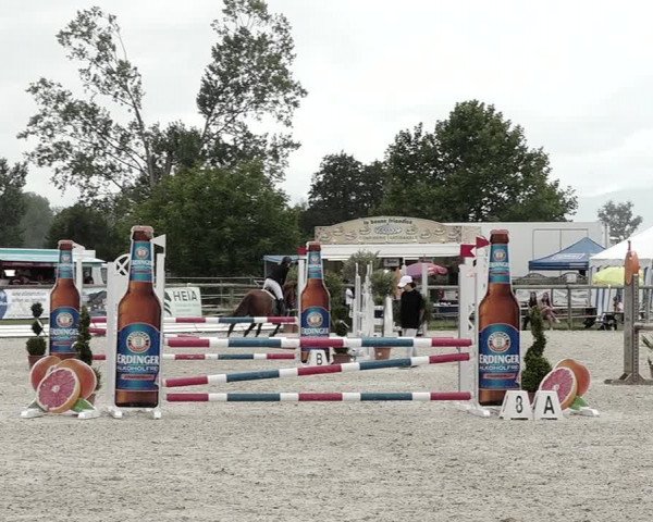 Concours Hippique de Dompierre 2021