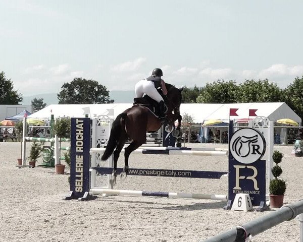 Concours Hippique de Dompierre 2021