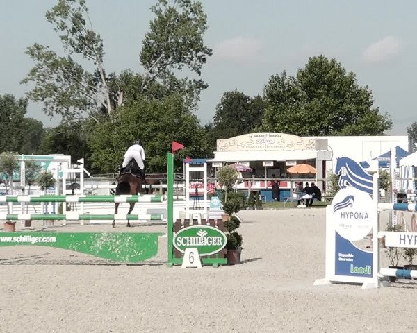 Concours Hippique de Dompierre 2021