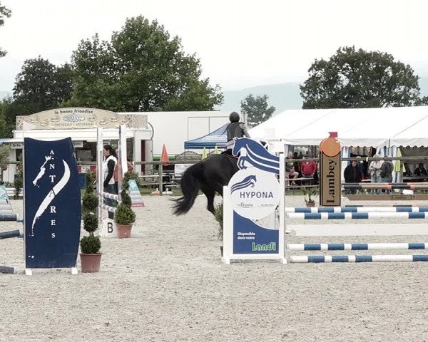 Concours Hippique de Dompierre 2021