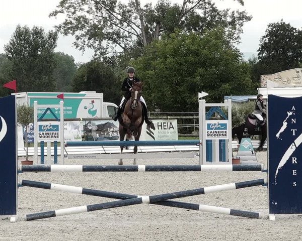 Concours Hippique de Dompierre 2021