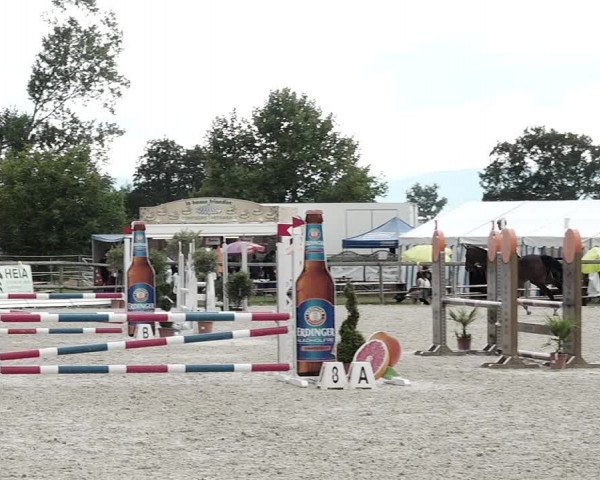 Concours Hippique de Dompierre 2021