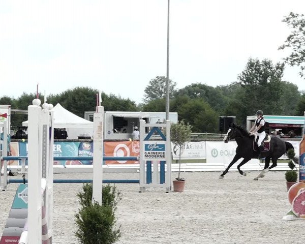 Concours Hippique de Dompierre 2021