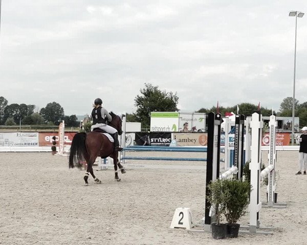 Concours Hippique de Dompierre 2021