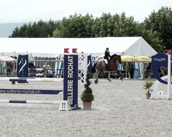 Concours Hippique de Dompierre 2021