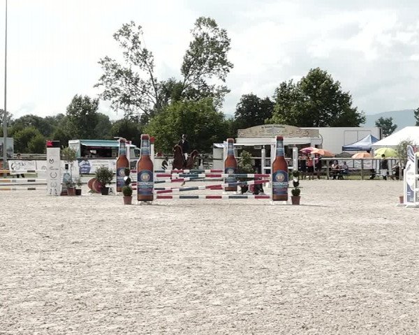 Concours Hippique de Dompierre 2021