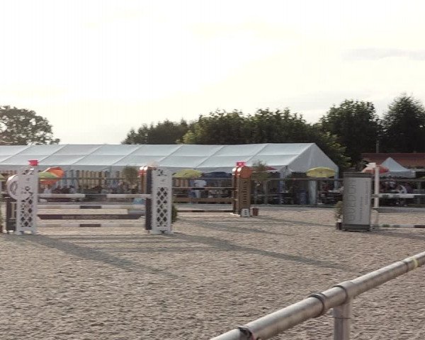 Concours Hippique de Dompierre 2021
