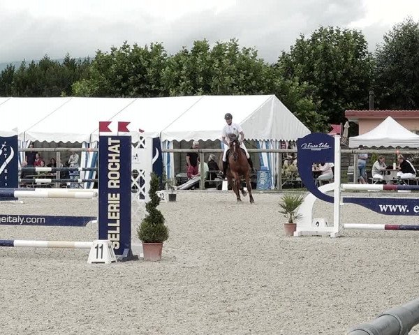 Concours Hippique de Dompierre 2021