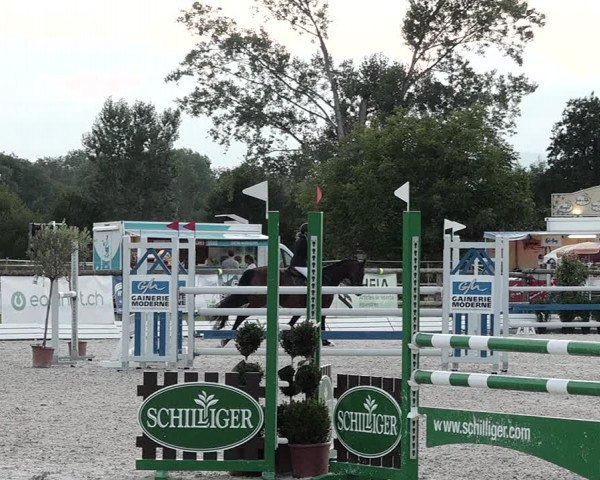 Concours Hippique de Dompierre 2021