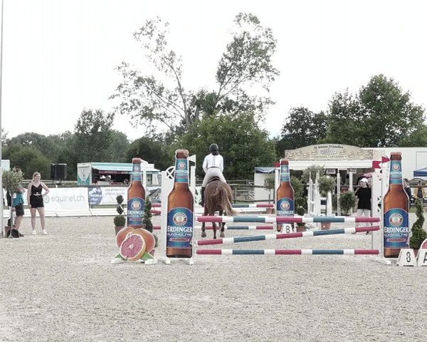 Concours Hippique de Dompierre 2021