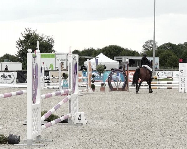 Concours Hippique de Dompierre 2021