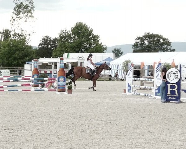 Concours Hippique de Dompierre 2021