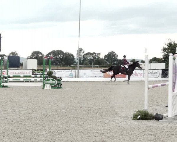 Concours Hippique de Dompierre 2021