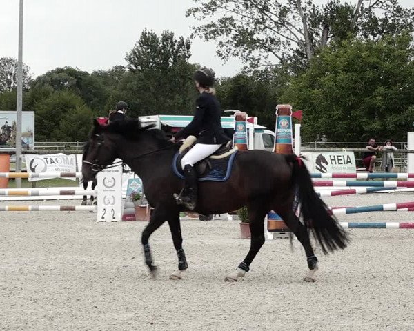 Concours Hippique de Dompierre 2021