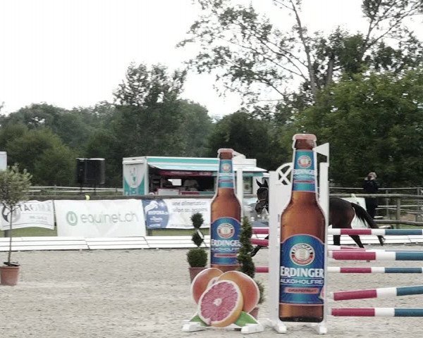 Concours Hippique de Dompierre 2021