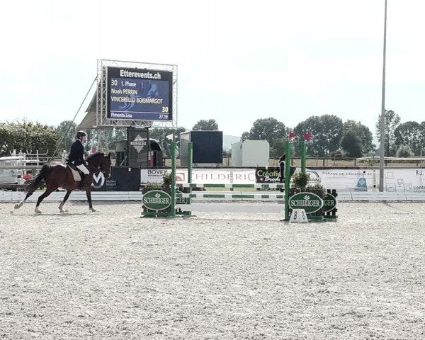 Concours Hippique de Dompierre 2021
