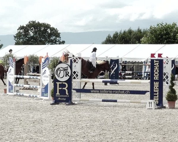Concours Hippique de Dompierre 2021
