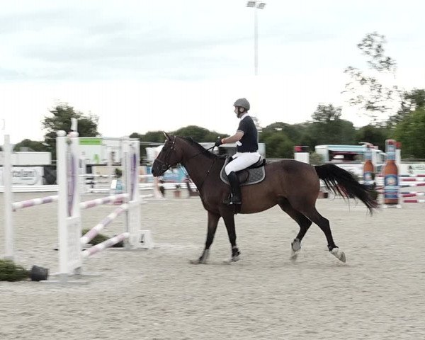 Concours Hippique de Dompierre 2021