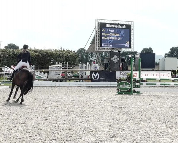 Concours Hippique de Dompierre 2021