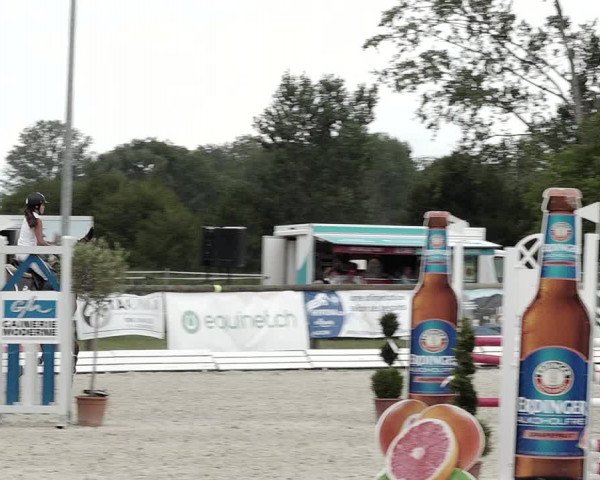 Concours Hippique de Dompierre 2021