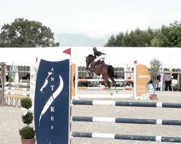 Concours Hippique de Dompierre 2021
