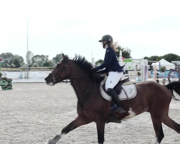 Concours Hippique de Dompierre 2021