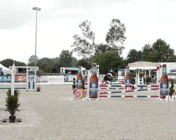 Concours Hippique de Dompierre 2021