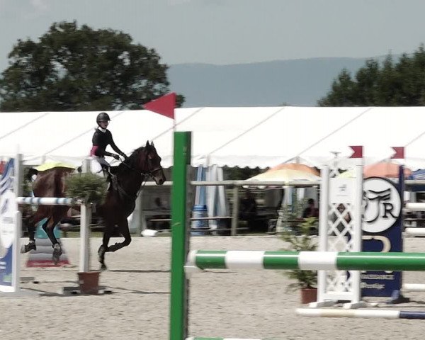 Concours Hippique de Dompierre 2021