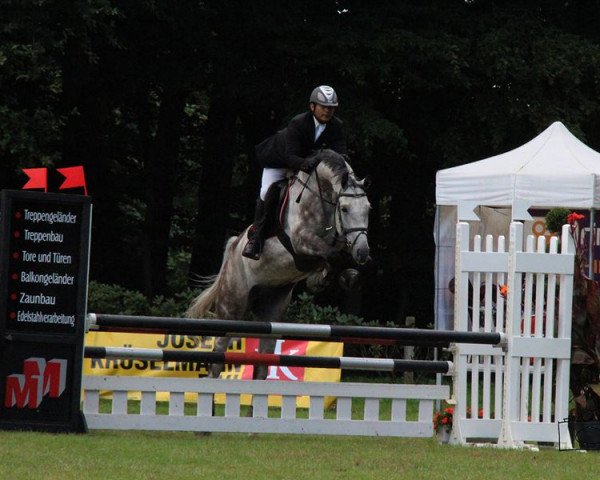 jumper Cartier 124 (Hanoverian, 2007, from Casco 4)