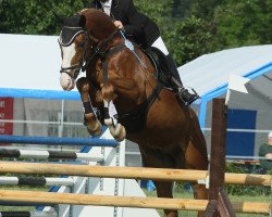 jumper Flashlight 30 (German Sport Horse, 2006, from Fiorenzo)